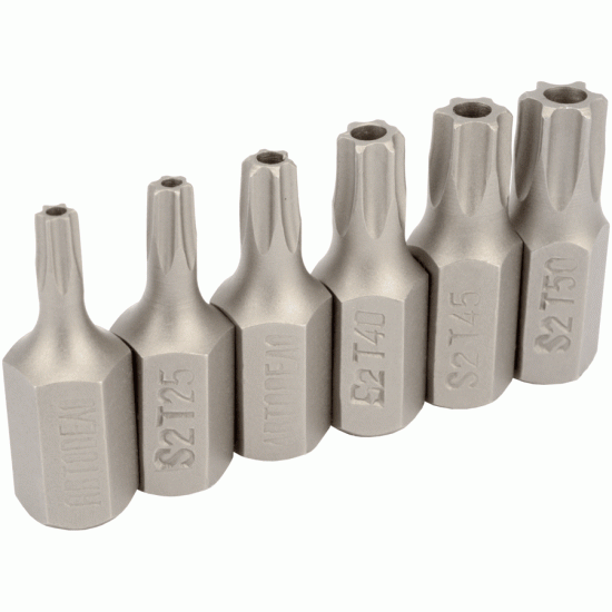 Torx® insert bit set with hole Number of items 6 (AvtoDelo) 40631