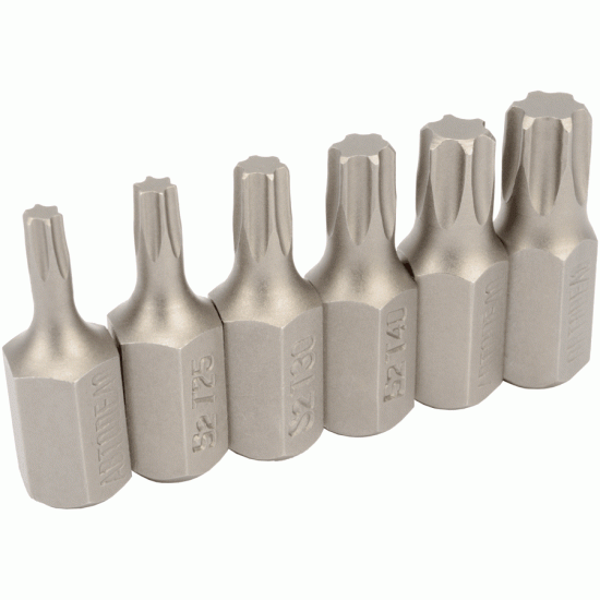 Torx® insert bit set Number of items 6 (AvtoDelo) 40636