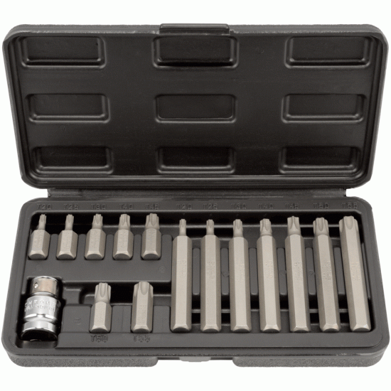 Torx® insert bit set with hole Number of items 15 (AvtoDelo) 40644