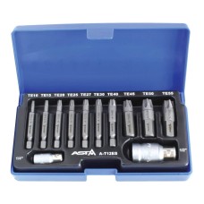 Extractor bits for damaged TORX screws, 1/4-1/2 T10-T55, ASTA Items quantity 12 pcs 370124