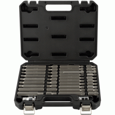 Torx®, Spline and Hex insert bit set Number of items 40 (AvtoDelo) 40640